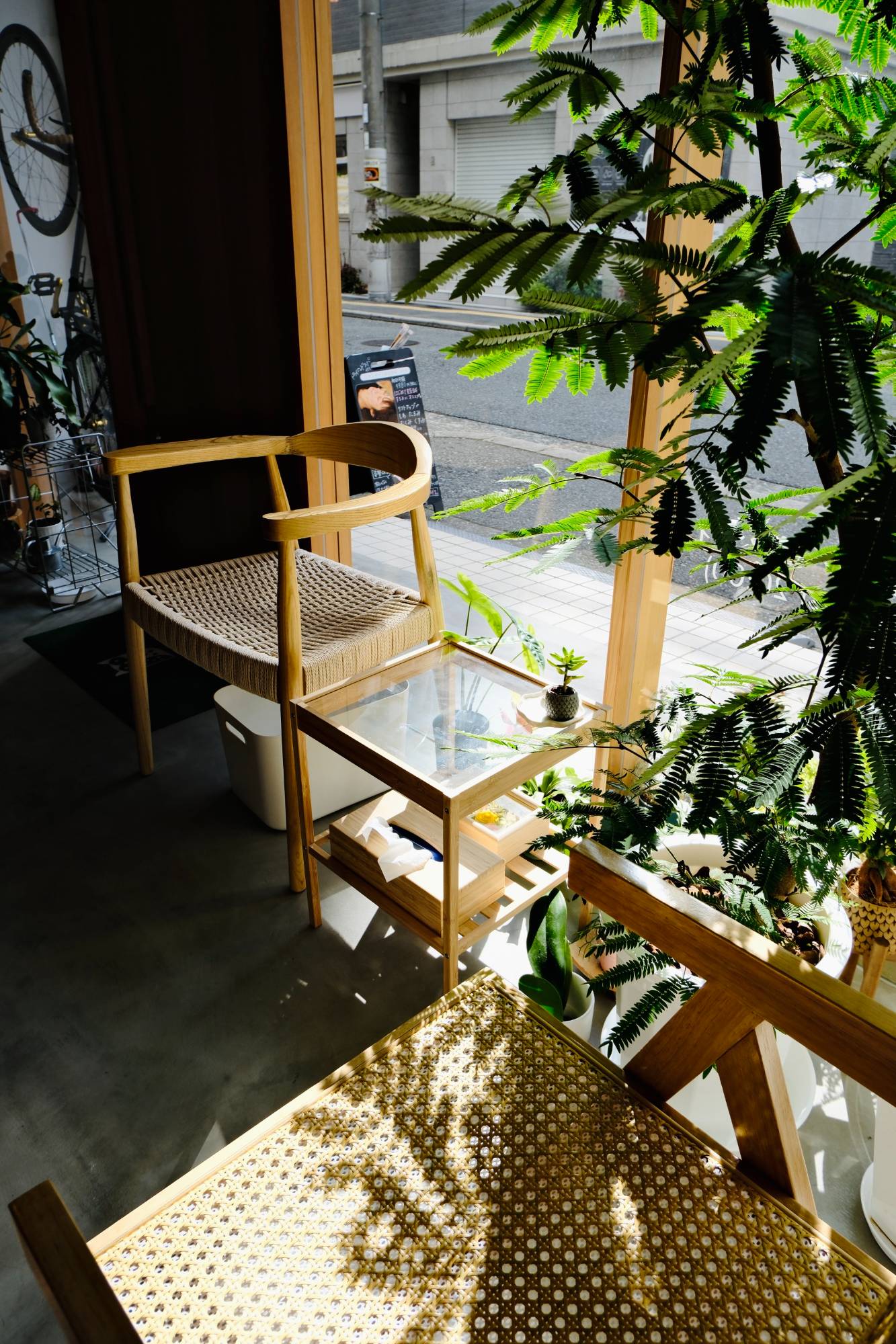 院内の植物